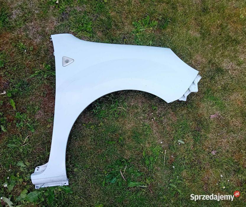 Renault Kangoo II błotnik przedni prawy Błotniki Przeźmierowo sprzedam