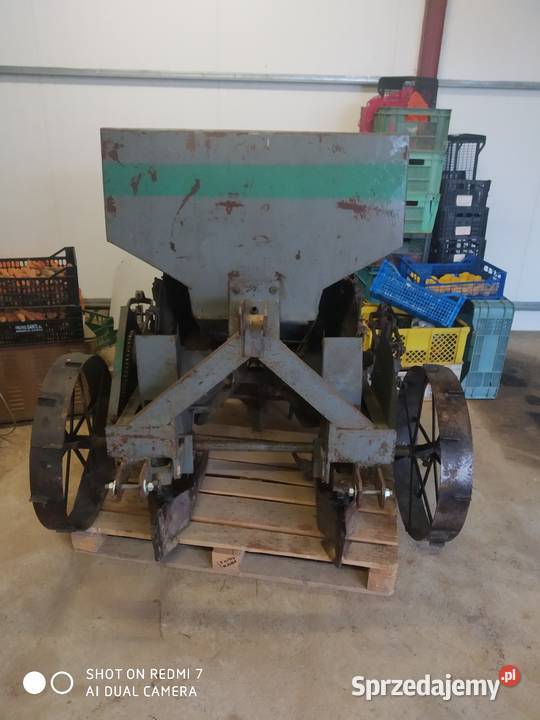 Sadzarka do ziemniaków Polska