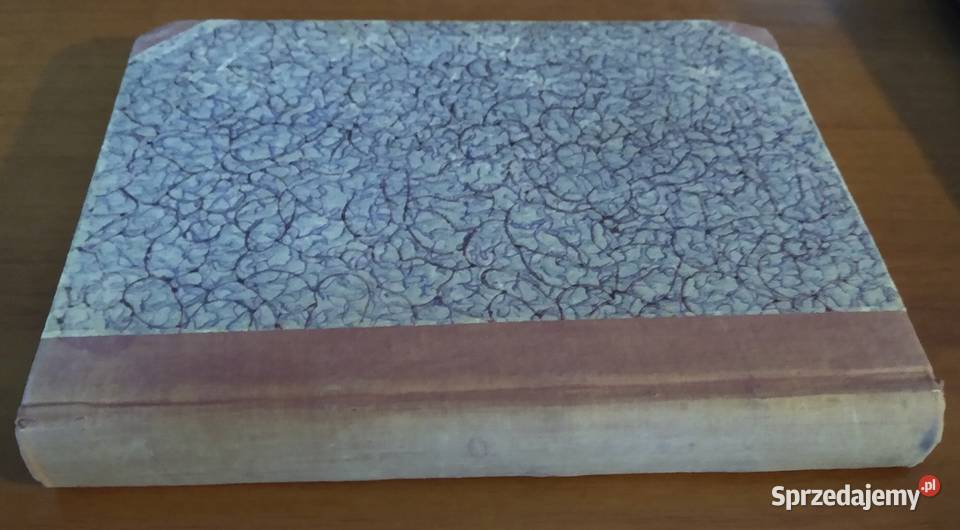 Polskie stronnictwa burżuazyjne Galicji Śląska Gdańsk