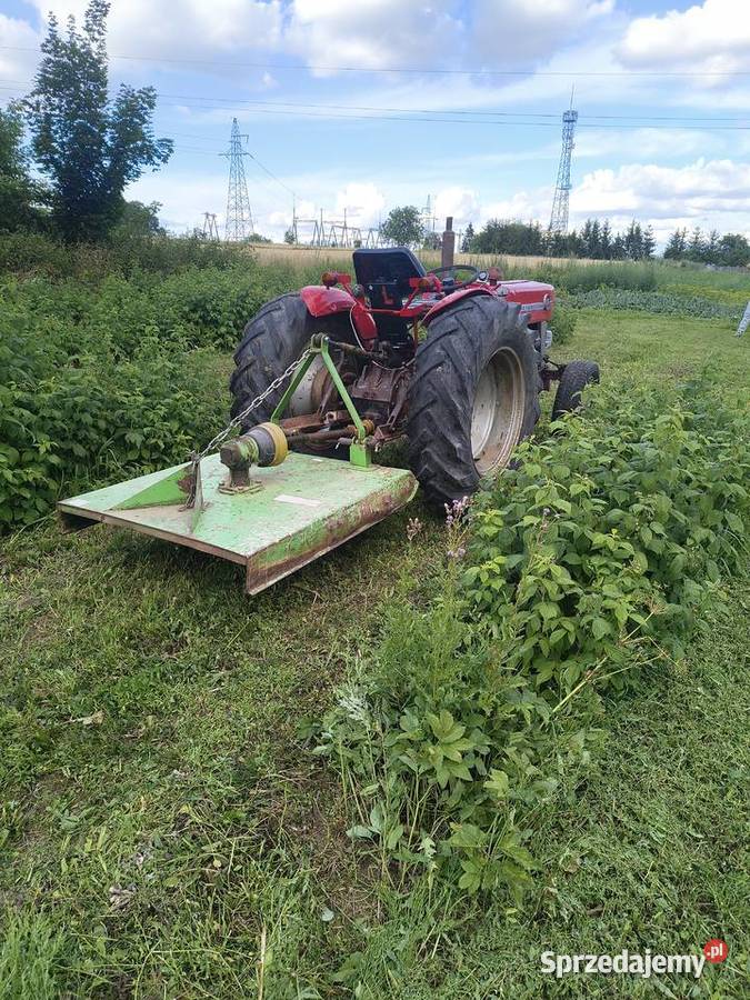 MF Ciągnik rolniczy SADOWNICZY Massey Ferguson Massey Ferguson