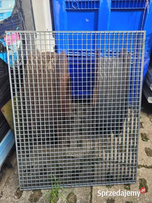 Kratka pomostowa Wema Koluszki