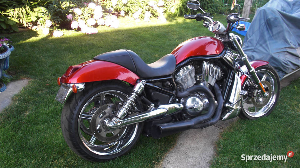 2005 HARLEYDAVIDSON VRSCB VROD Rok produkcji 2005 Tychy