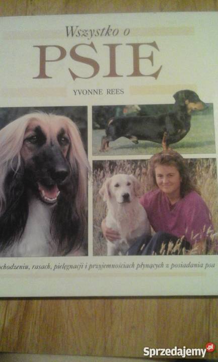 Wszystko o psie Yvonne Rees Gliwice