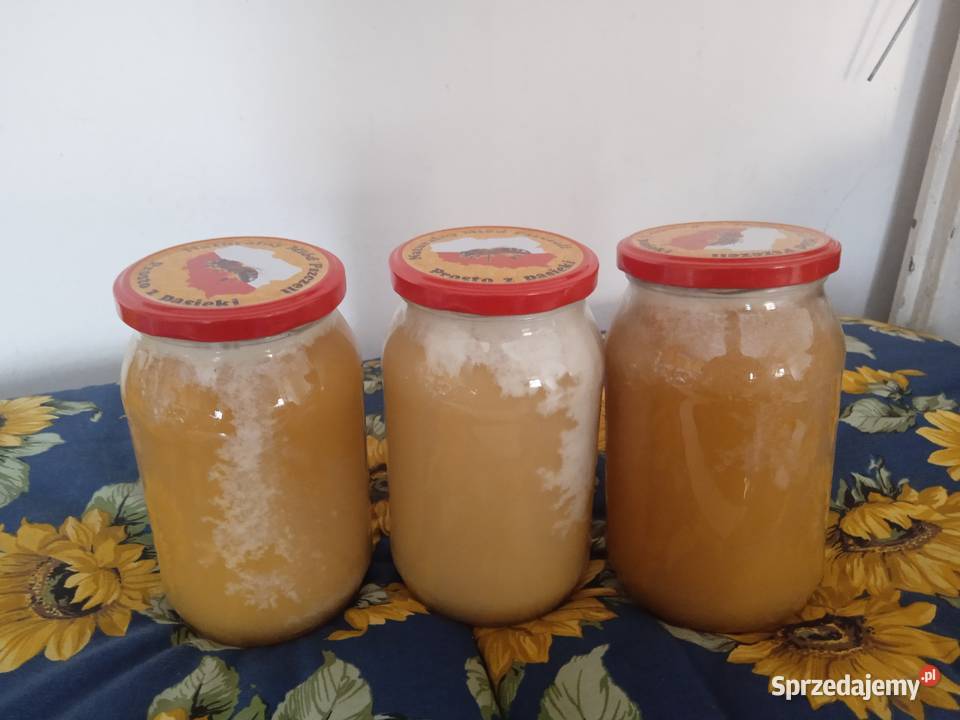 Miód naturalny Zamość sprzedam