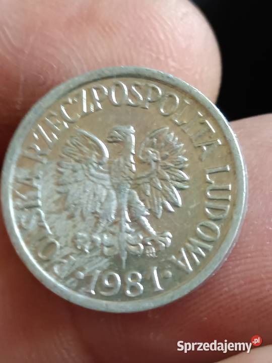 Sprzedam 10 gr 1981 r lekka skretka zzzz Chełm sprzedam