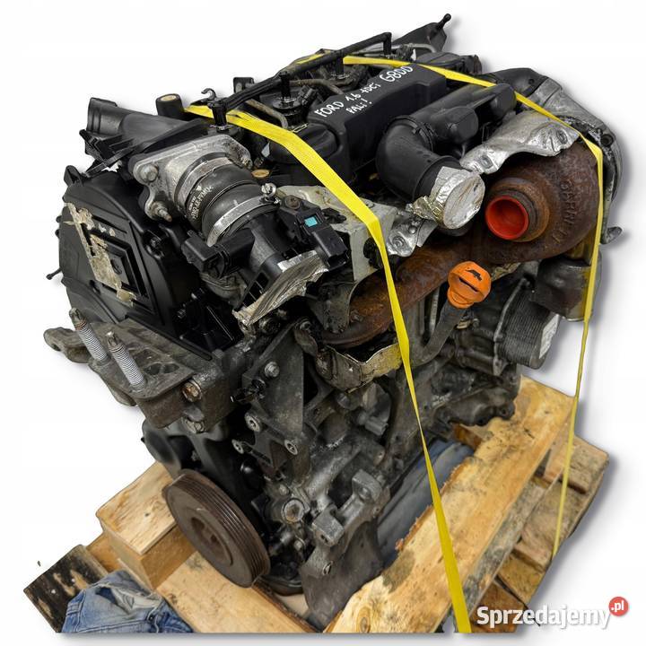 SILNIK KOMPLETNY G8DD Ford Focus II MK2 C C 16 lubelskie Chełm