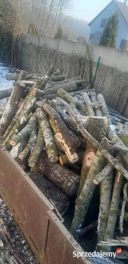 Drewno opalowe Wygoda sprzedam