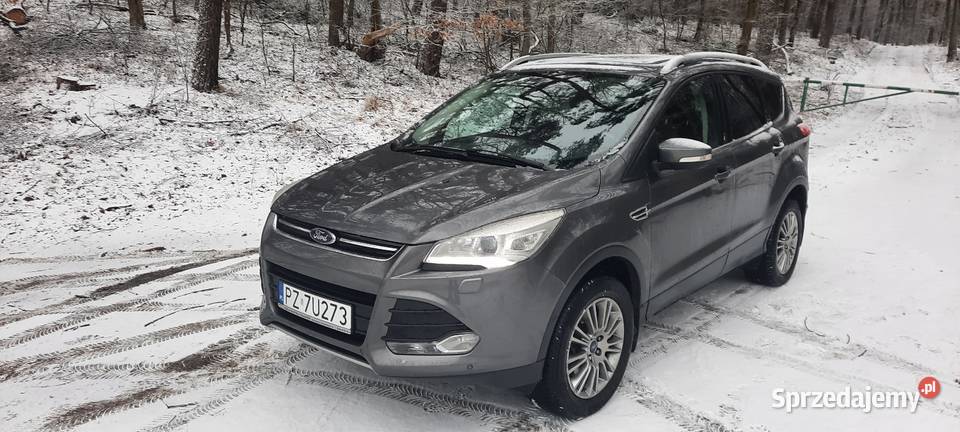 Ford kuga titanium plus SUV wielkopolskie Poznań