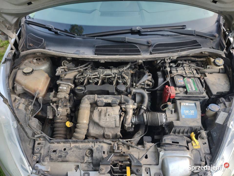 Ford Fiesta 16 TDCi diesel Krzczonów-Sołtysy