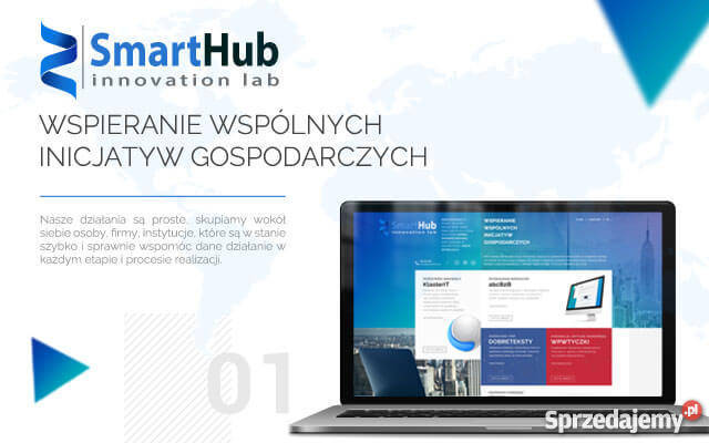 Tworzenie stron i sklepów internetowych