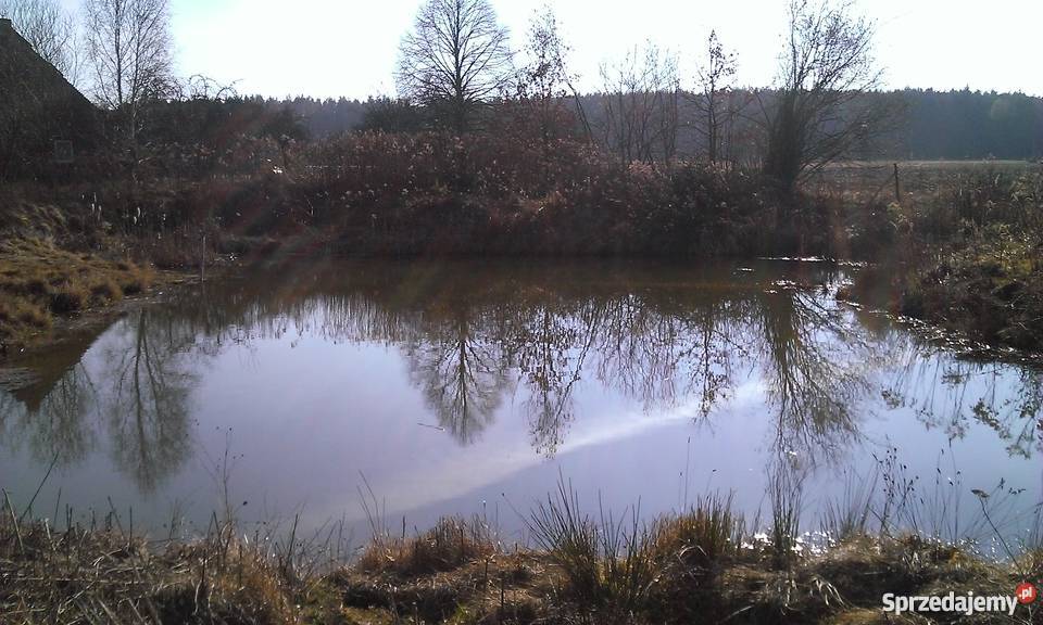 Dom plus Dzialka Poł HEKTARA Kocina