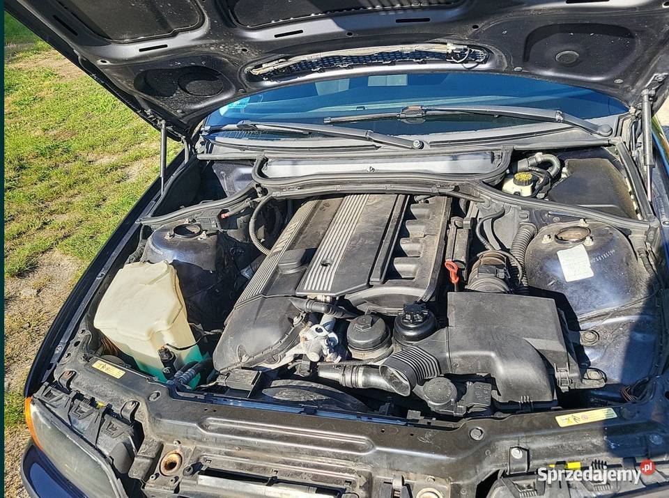 BMW 320 E46 lubuskie Skwierzyna