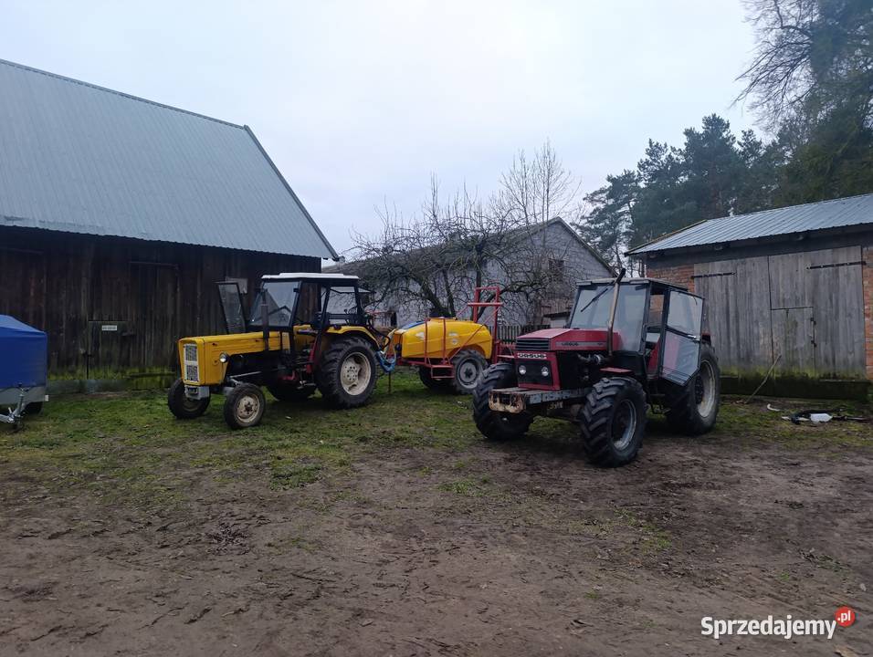 URSUS 1604 Napęd 4x4 Ursus Wycinki sprzedam