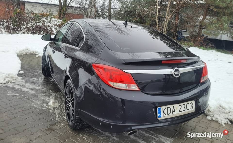 Opel Insignia OPC Line Dąbrowa Tarnowska