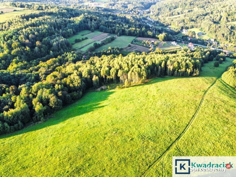 Grunt sprzedam Lutcza 44800m