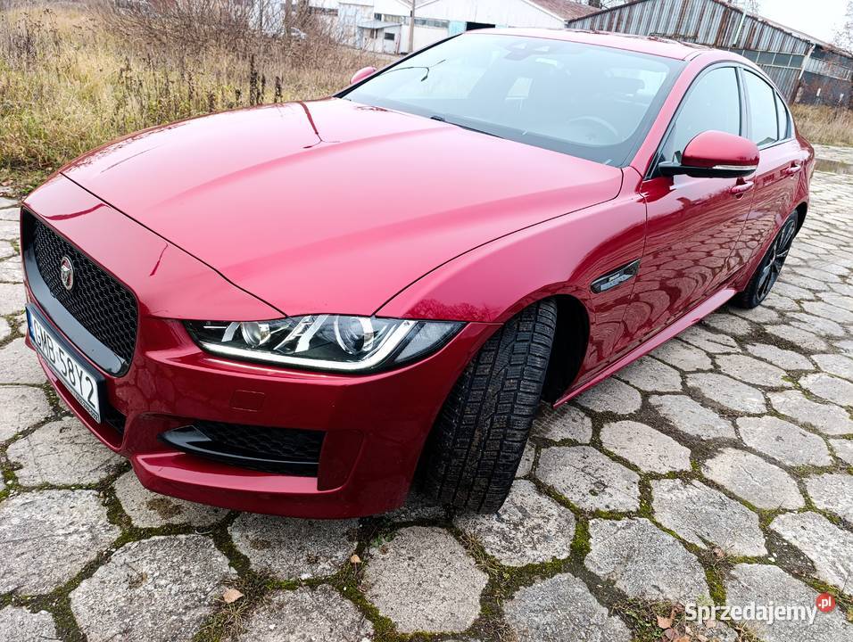 Sprzedam JaguarXER Jaguar Malbork