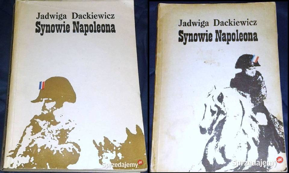 Synowie Napoleona Tom 12 Jadwiga Dackiewicz Pozostałe lubelskie Chełm