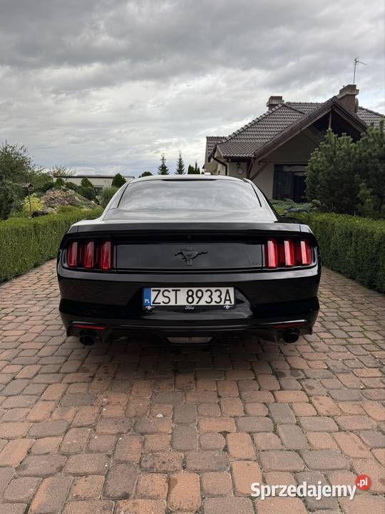 Ford Mustang 37 V6 2015 Automat 305KM wielkopolskie Rokietnica