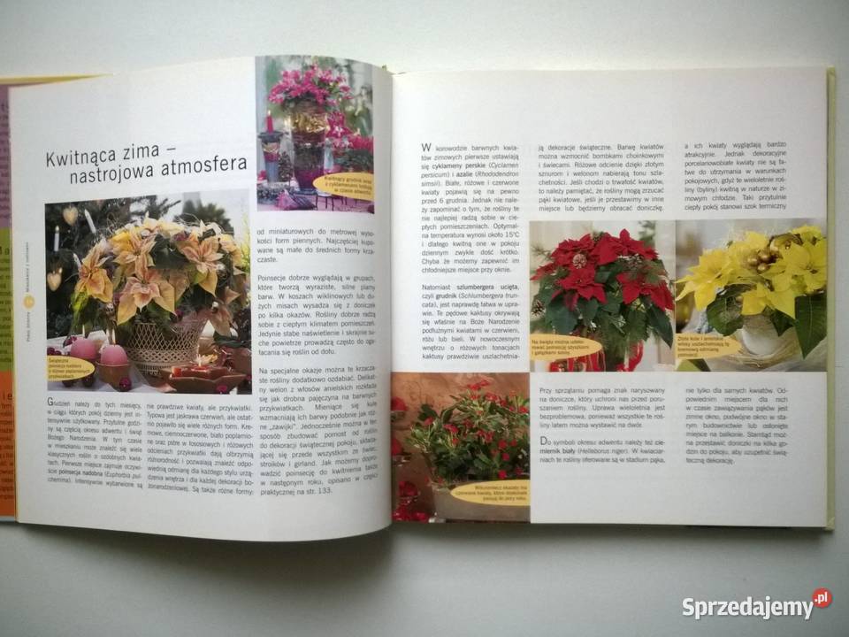 ROŚLINY DONICZKOWE Pielęgnacja porady Poradniki, albumy i reportaże Gorzów Wielkopolski
