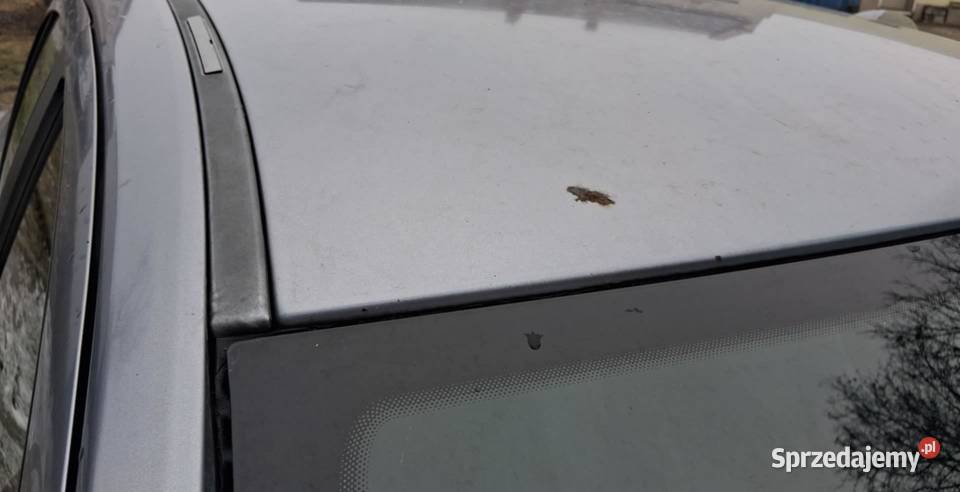 Opel Astra H Astra dolnośląskie Strzelin