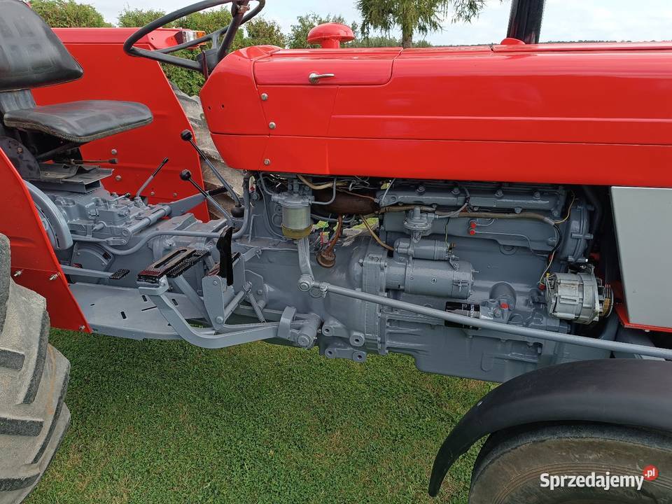 Massey Ferguson 158 zarejestrowany Chlewice