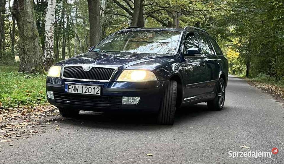 Skoda Octavia 2 19tdi Stary Kisielin