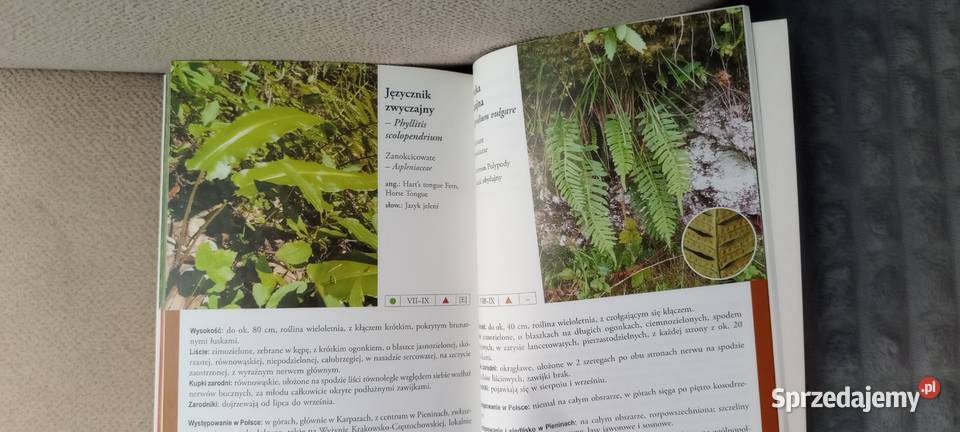 Atlas roślin pienińskich Kraków