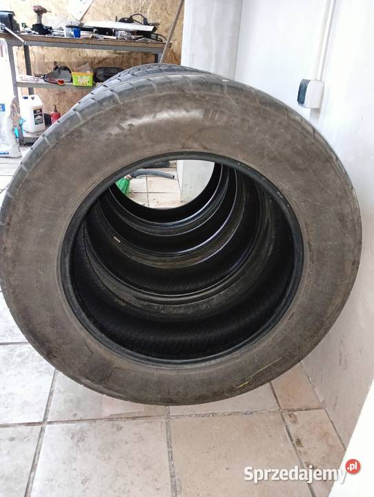 2756020 Lato Świerklany