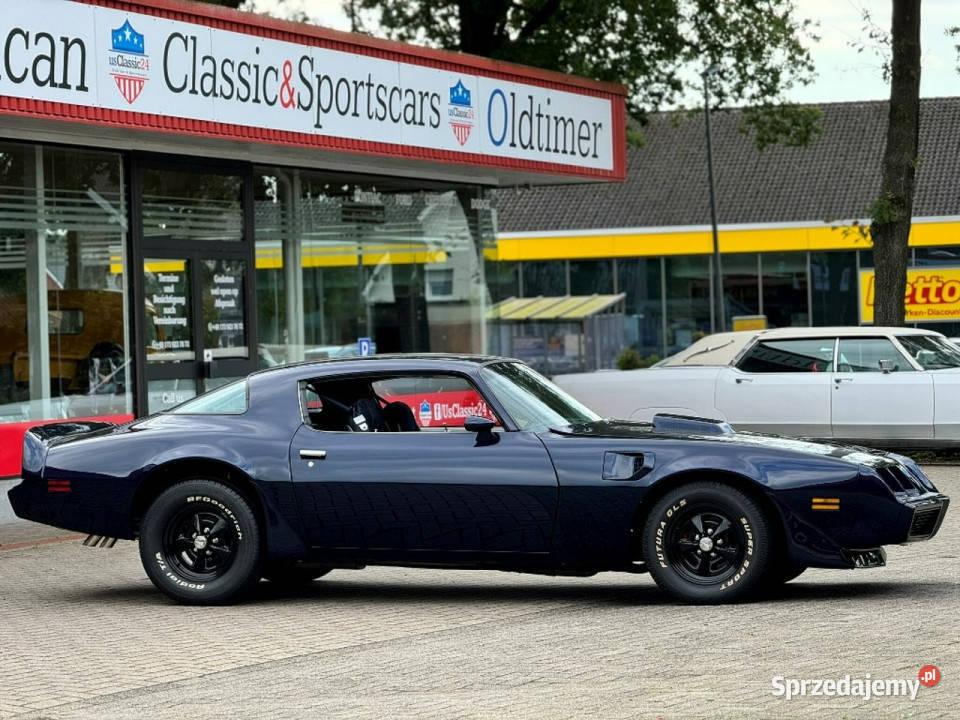 Pontiac Firebird Trans Am MIDNIGHT BLUE 1981 do Sportowy / Coupe Sulechów
