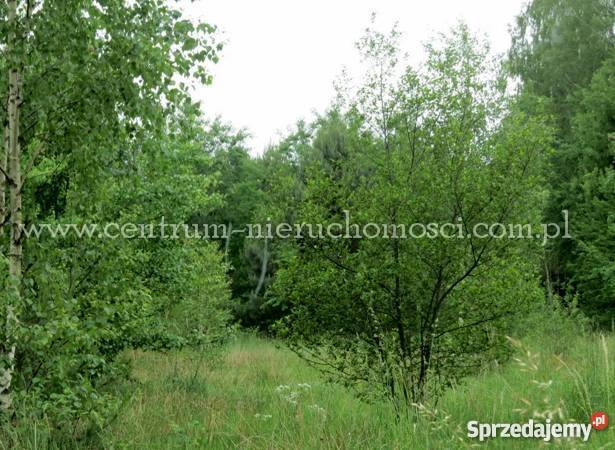 Działka rolnobudowlana Osęczyzna 4700m2 26m Osęczyzna