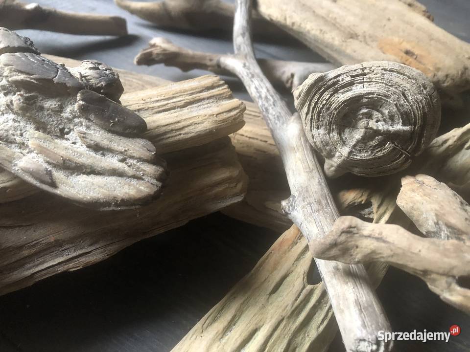 Driftwood drewno akwarystyczne