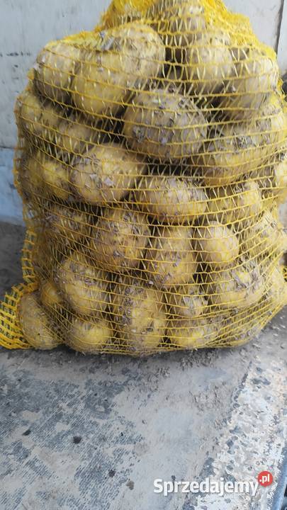 Sprzedam ziemniaki colomba Katowice