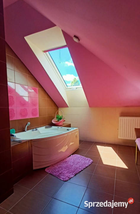 Piękna posiadłość otulona zielenią Dwa domy świętokrzyskie