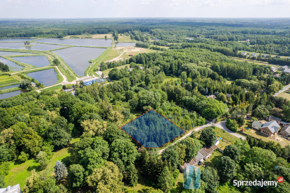 Sprzedaż gruntu Grzegorzewice Macierzanki 2200m2 2200m2 mazowieckie