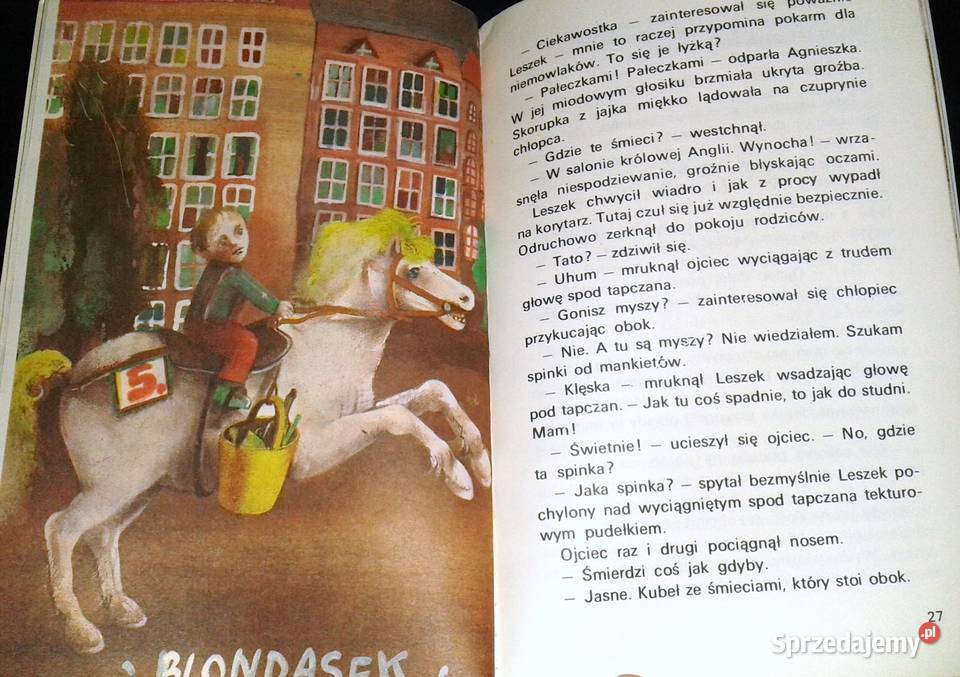 Nie głaskać kota pod włos Krystyna Boglar miękka Chełm