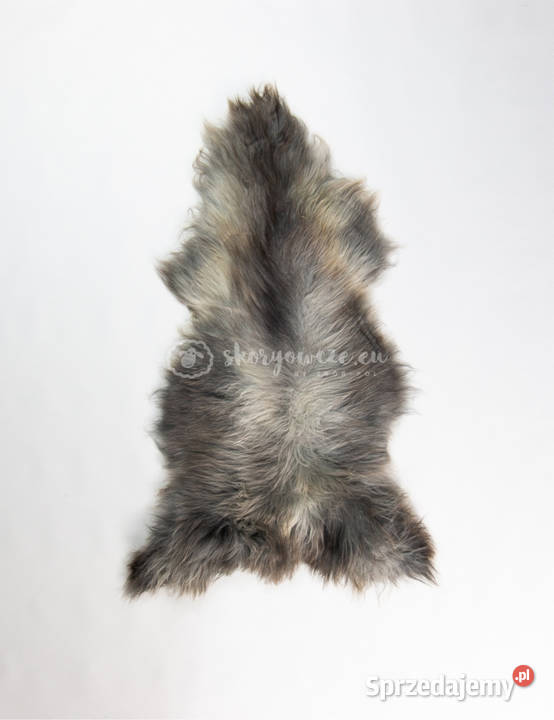 Skóra owcza naturalna multikolor unikatowa małopolskie Szaflary