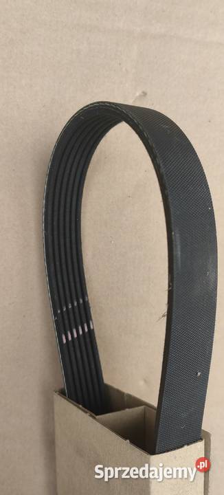 04L260849 C AB Pas wielorowkowy OE VAG Rożnów