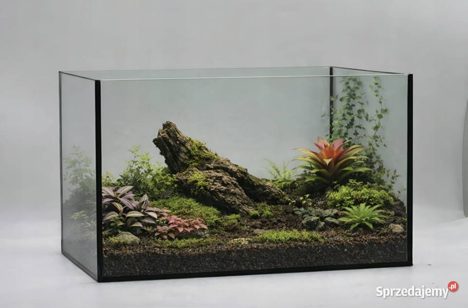 TRANSGLASS AKWARIUM PRODUCENT 30X30X20