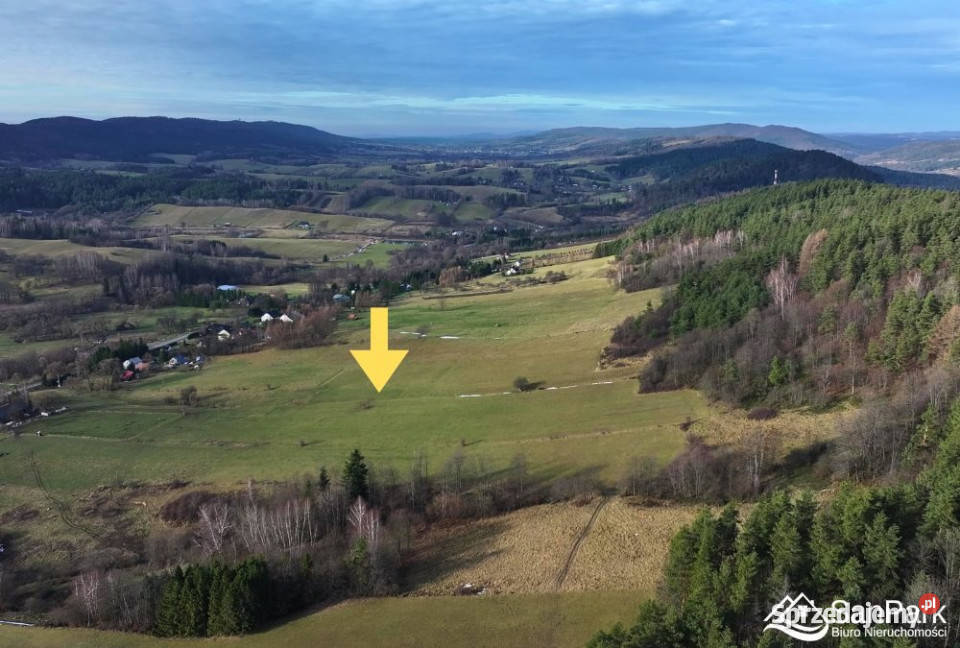 Działka 26273m2 Ustrzyki Dolne