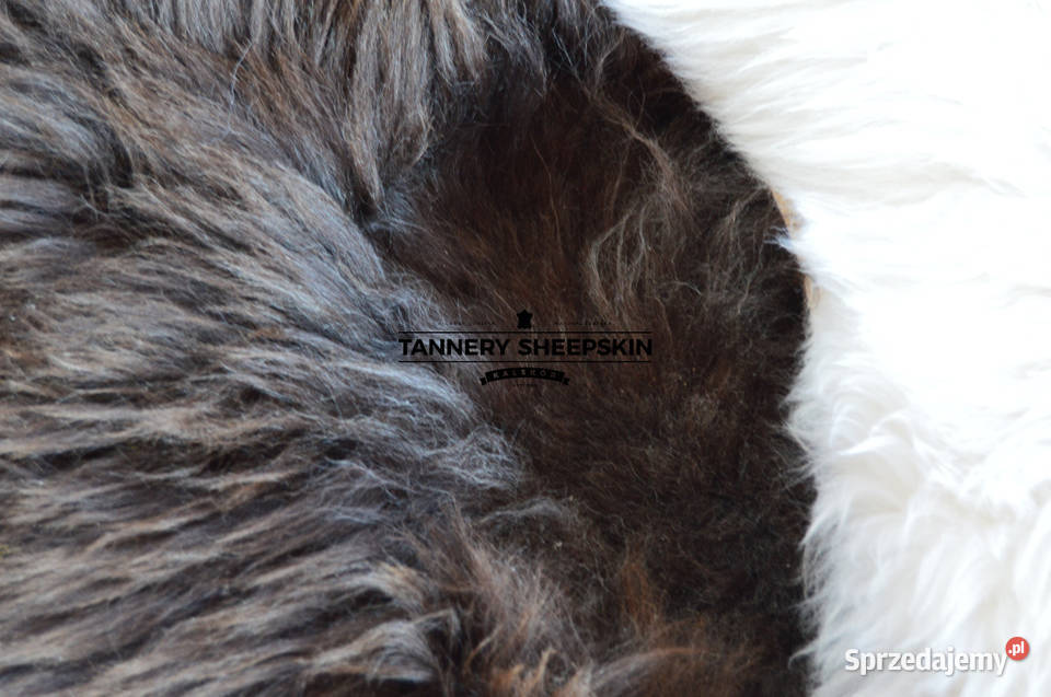 Skóra OwczaSkóry Owcze Dywaniki Dywany Chodniki Szaflary