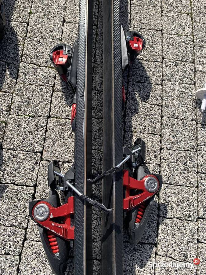 Volkl TigerSharks 160 łódzkie