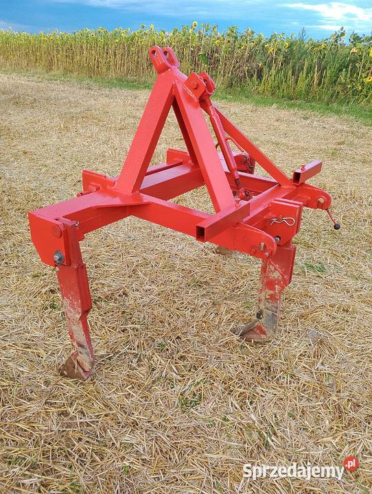 Głębosz 3 zęby nieuszkodzony Stryjno Pierwsze