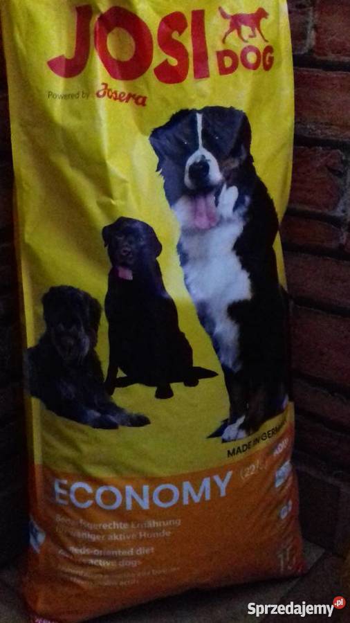 Owczarek niemiecki długowłosy podkarpackie Zbydniów sprzedam