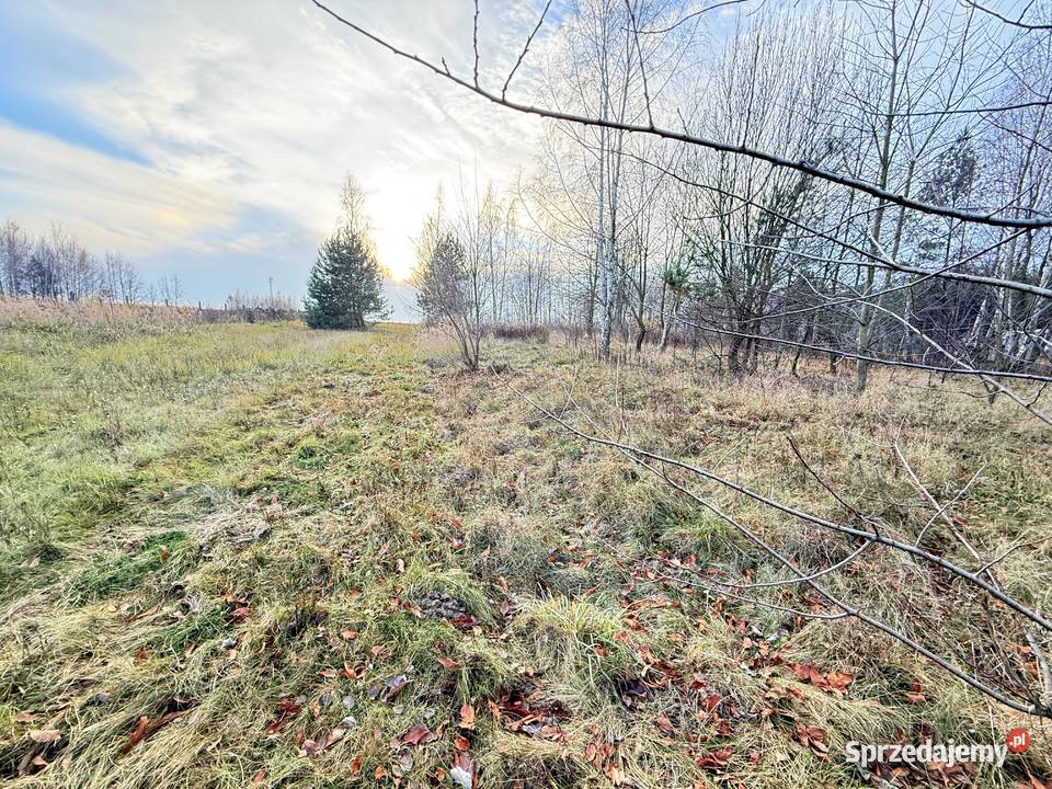 Działka budowlana Lutomiersk