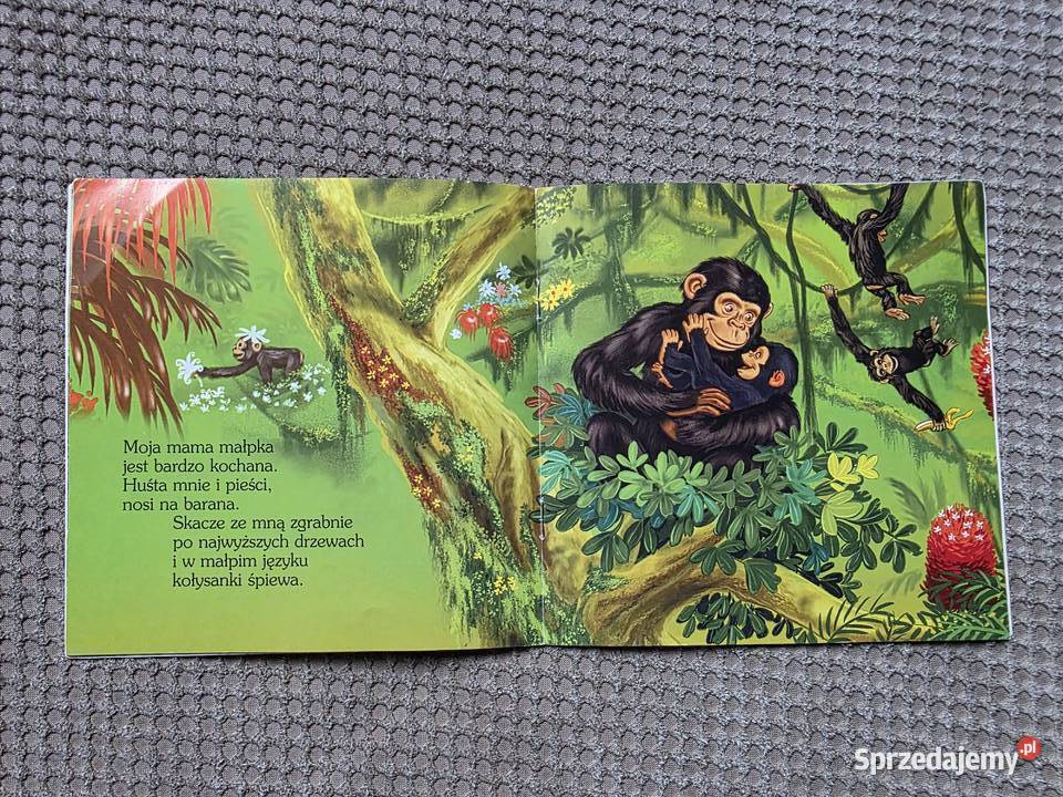 seria zwierzakidzieciaki W Australii i W Afryce