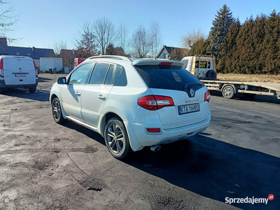 Renault Koleos Renault Koleos 20DCI 150 11r 307654km Tarnów