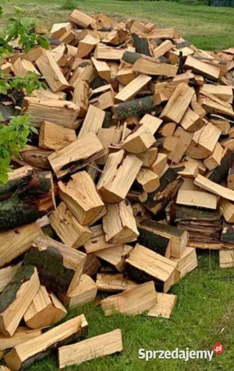 Różne rodzaje drewna opałowegokominkowego