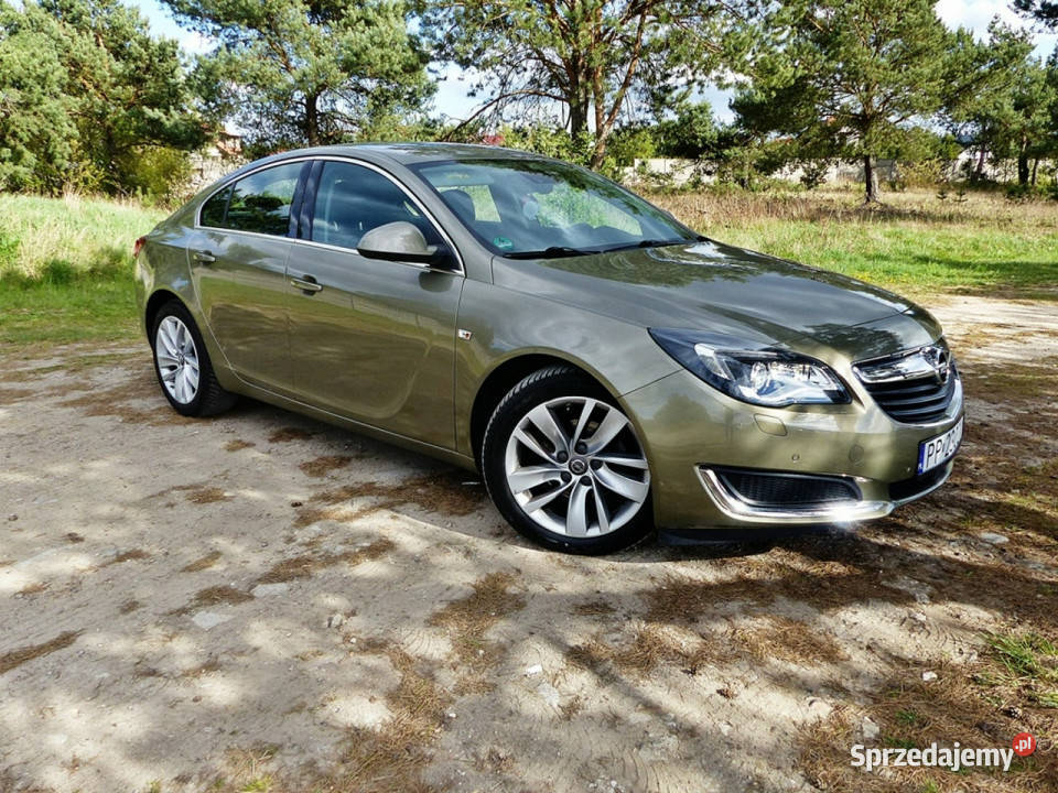 Opel Insignia 16 nieuszkodzony