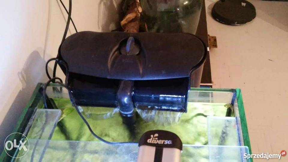 Zestaw akwarystyczny Poznań wielkopolskie