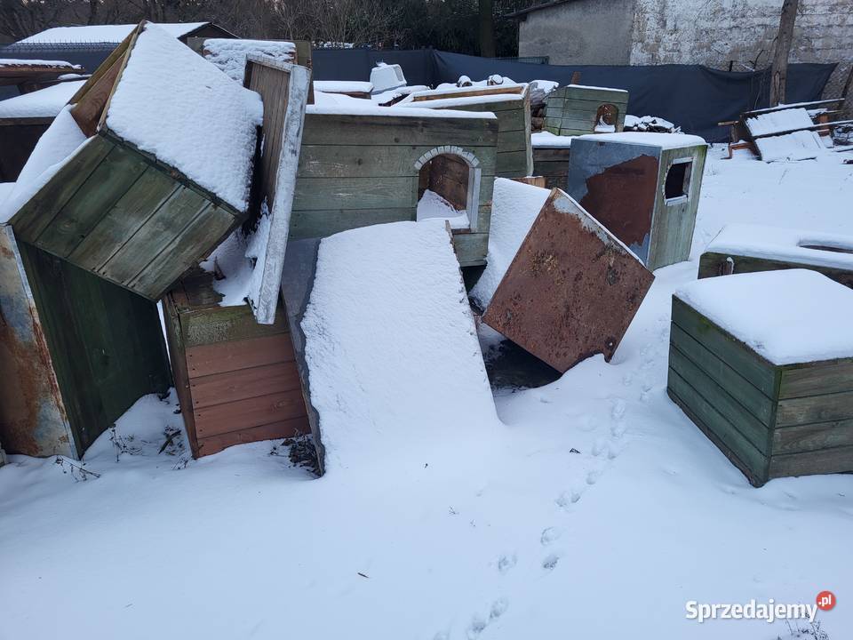 Sprzedam budy psów Dla psów łódzkie Łódź